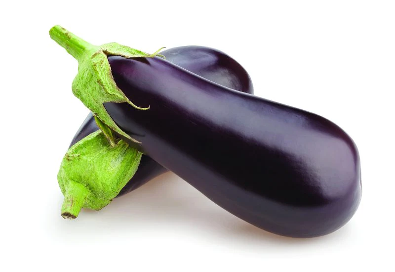 Eggplant 1 piece item# vg20