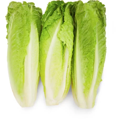 Romaine lettuce 3 heads item# vg22