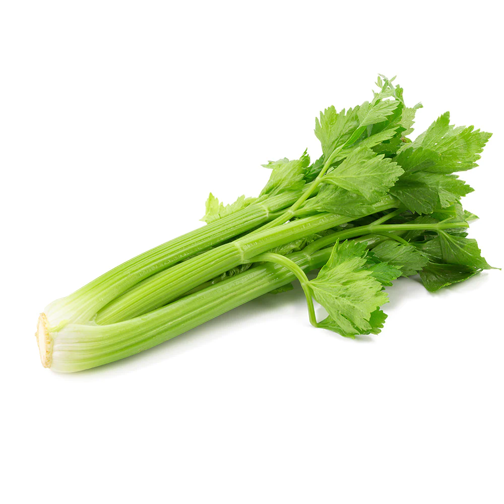 Celery 1 bunch item# vg27
