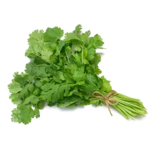 Cilantro 1 bunch item# vg009