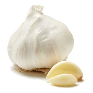 Garlic 1 sleeve item# vg16