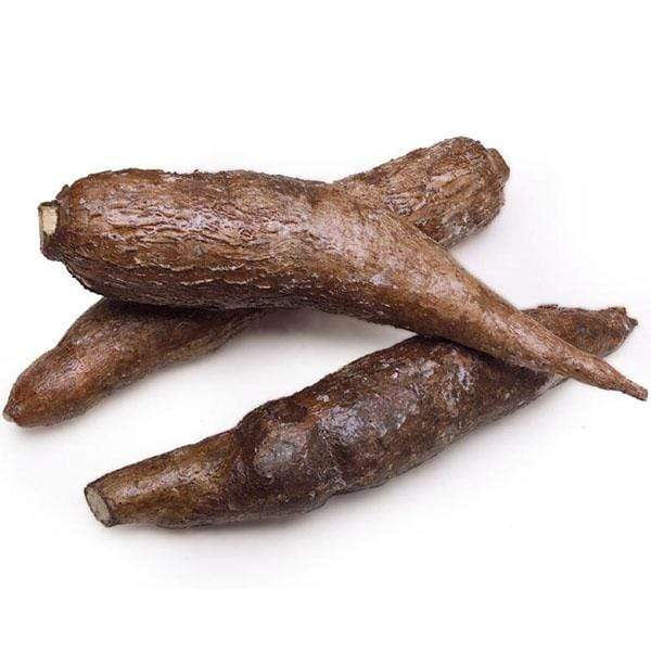 Yucca 2-3 pieces item# vg19