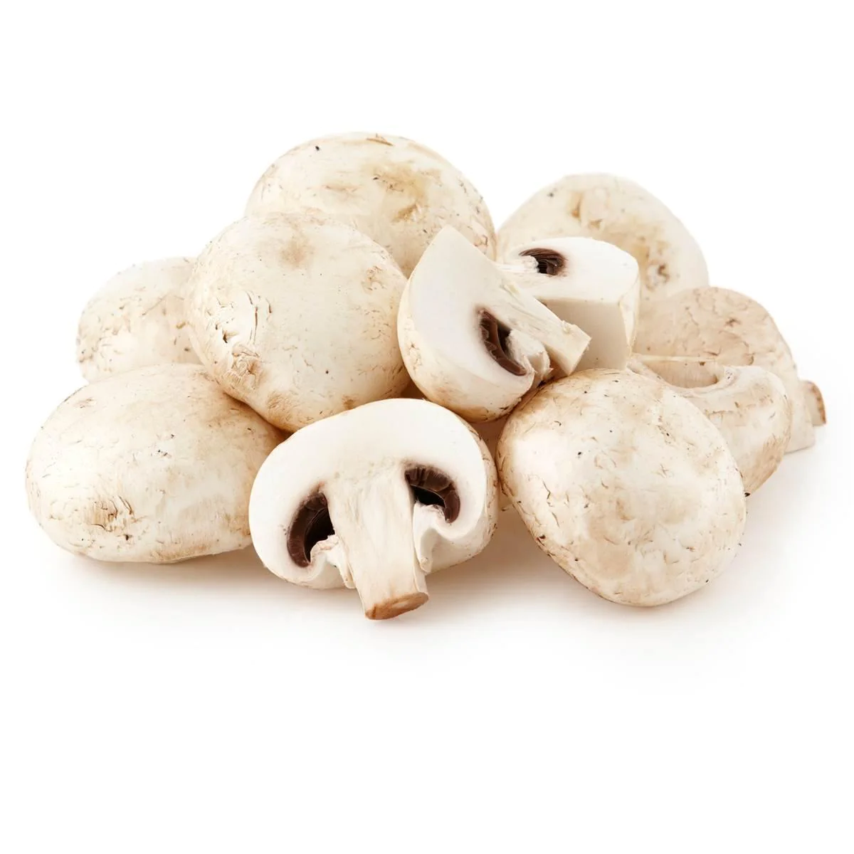 Mushrooms item# vg17