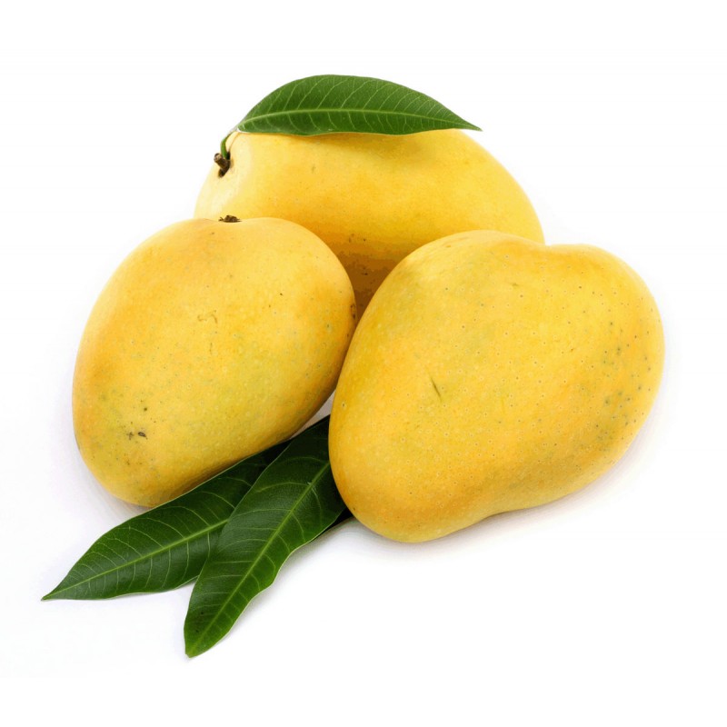 Mango 1 per order item# fr008