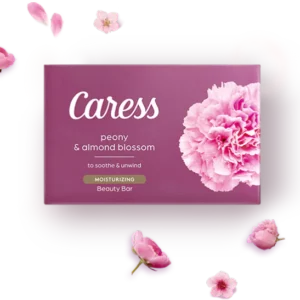 Caress soap #hg004