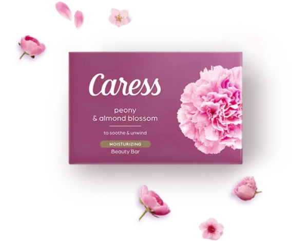 Caress soap #hg004