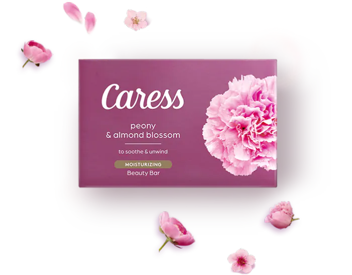 Caress soap #hg004