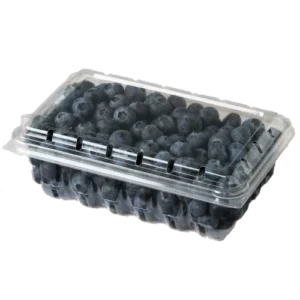 Blueberries 8oz item# fr012