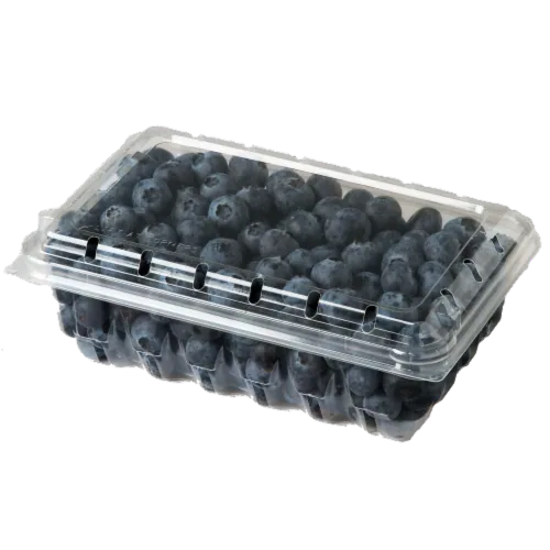 Blueberries 8oz item# fr012
